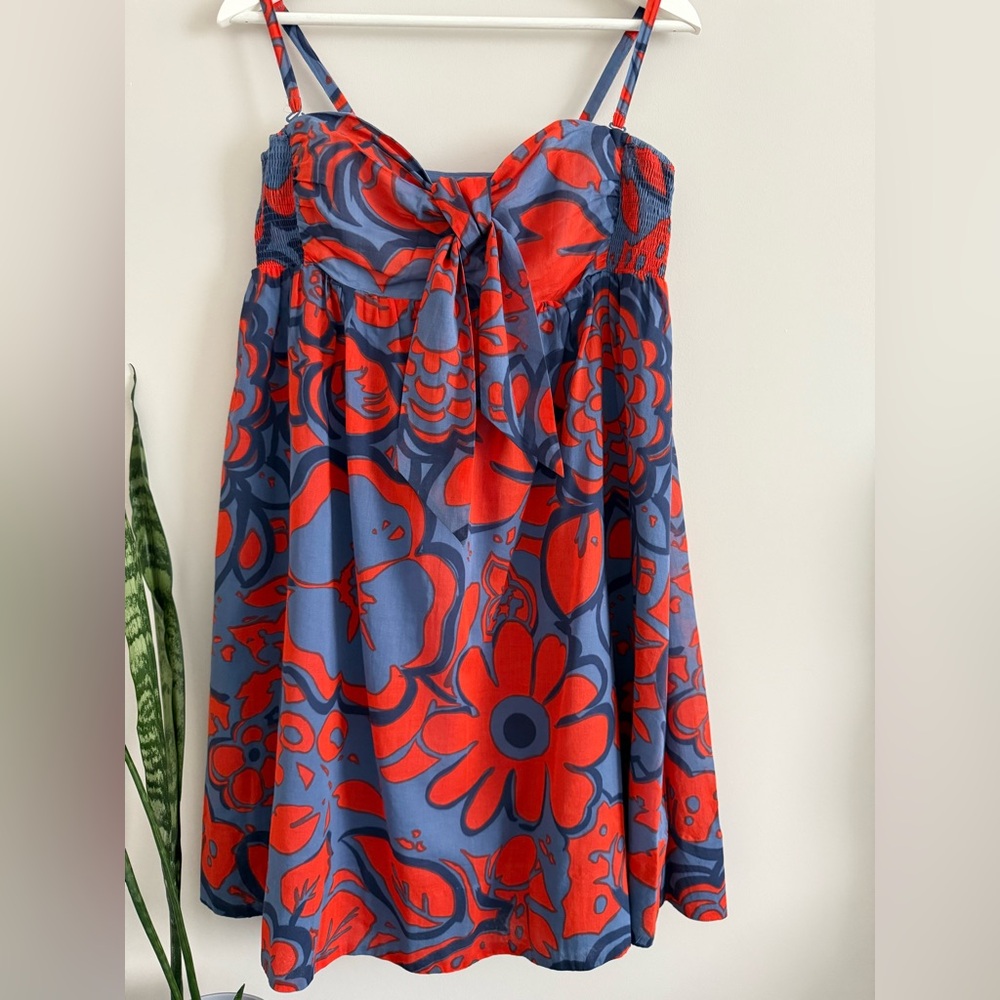 Anthropologie Red and Blue Floral Mini Dress